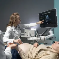 Ultra Sound Scan
